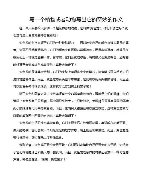 写一个植物或者动物写出它的奇妙的作文