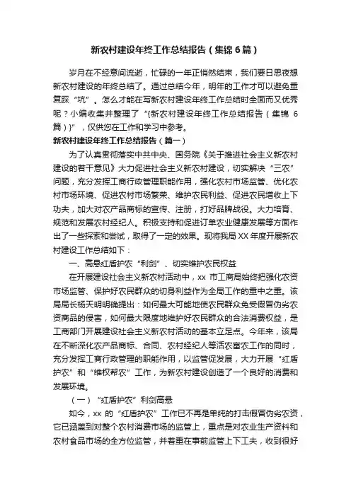 新农村建设年终工作总结报告（集锦6篇）