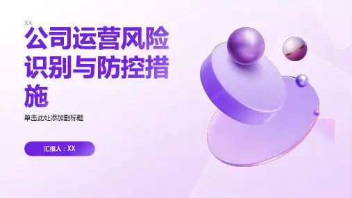 公司运营风险识别与防控措施PPT模板