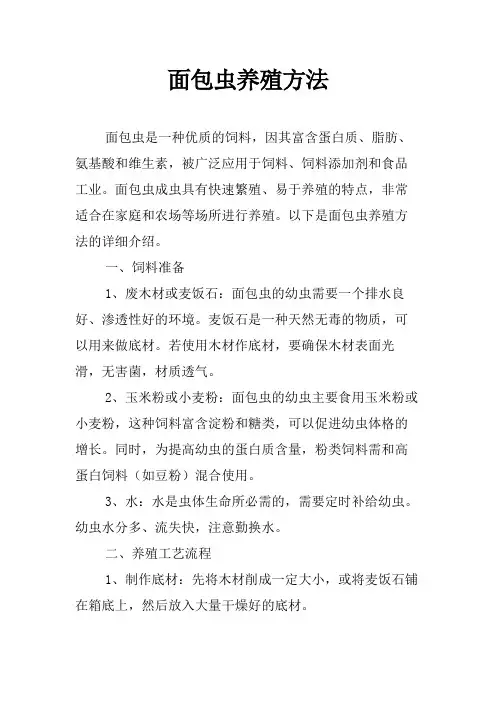 面包虫养殖方法