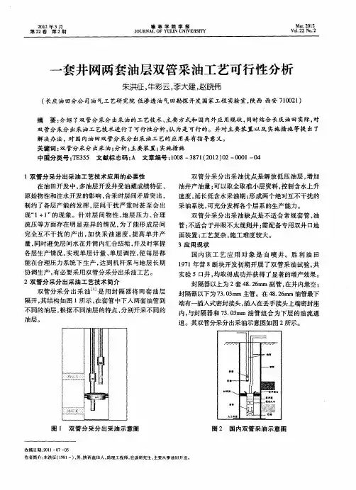 一套井网两套油层双管采油工艺可行性分析