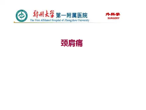 颈肩痛PPT