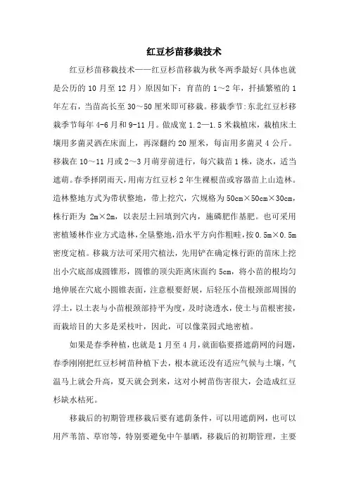 红豆杉苗移栽技术