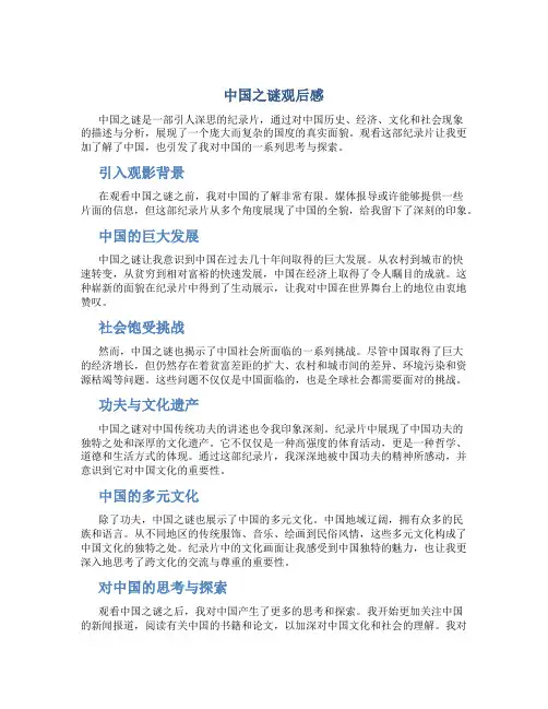 《中国之谜》观后感