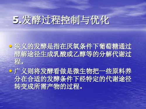 发酵过程控制与优化