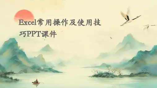 Excel常用操作及使用技巧PPT课件