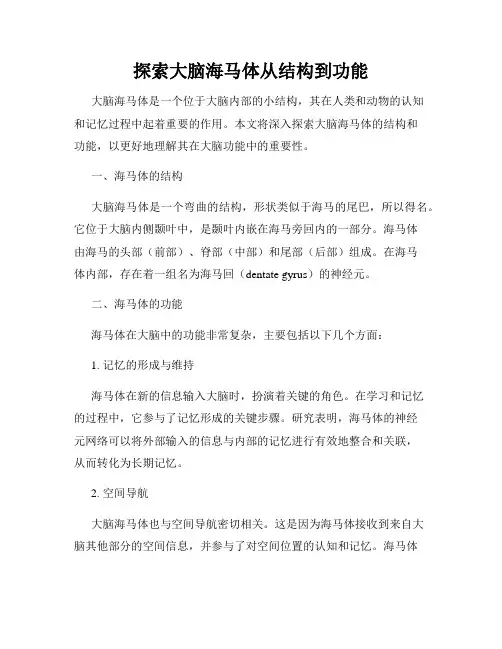 探索大脑海马体从结构到功能