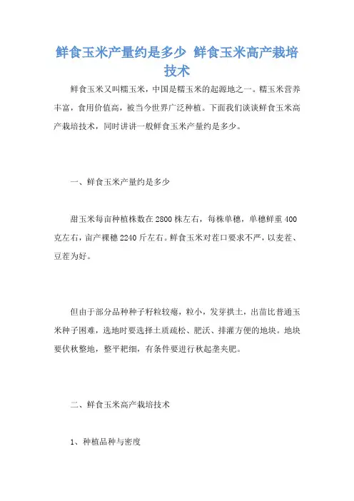 鲜食玉米产量约是多少 鲜食玉米高产栽培技术