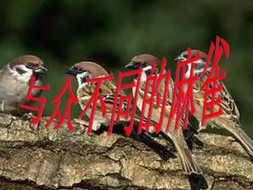 二年级下册语文与众不同的麻雀