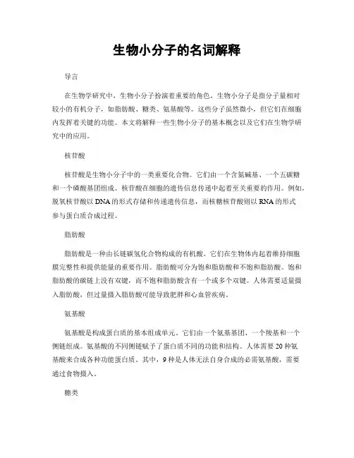 生物小分子的名词解释