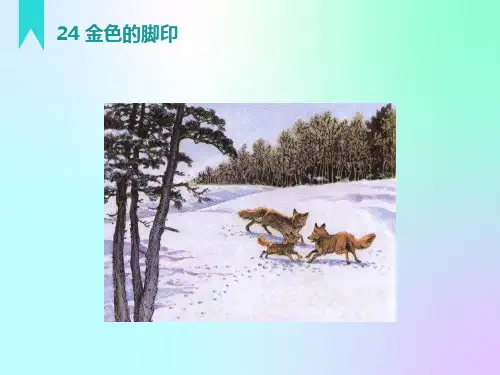 金色的脚印ppt课件