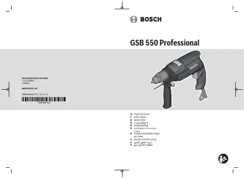 罗伯特博世电动工具有限公司GSB 550 Professional说明书