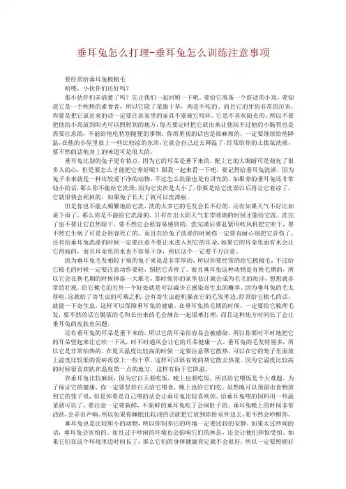 垂耳兔怎么打理-垂耳兔怎么训练注意事项