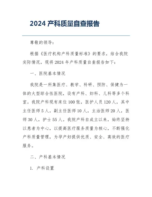 2024产科质量自查报告