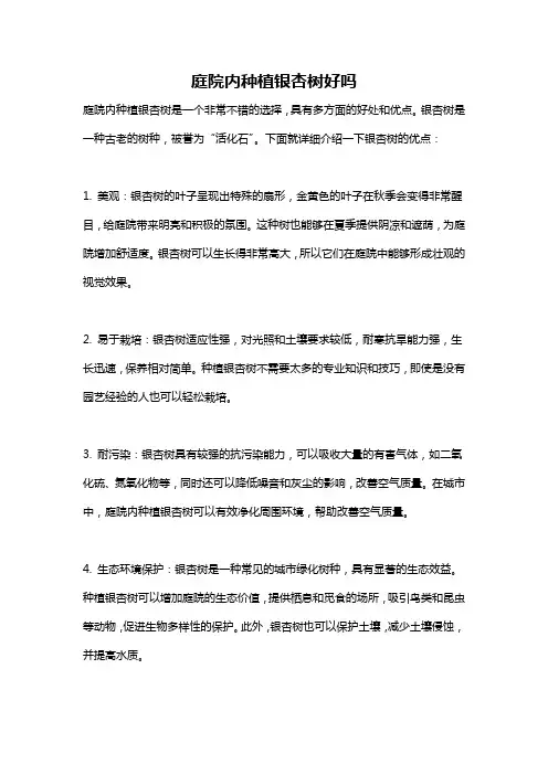 庭院内种植银杏树好吗