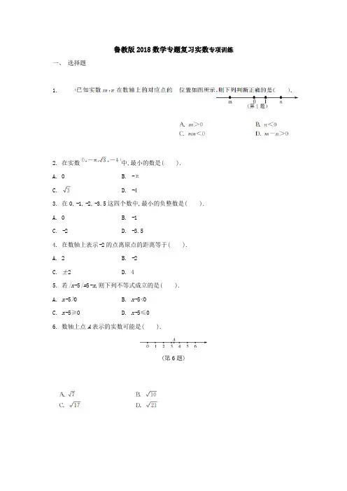 鲁教版2018数学专题复习实数专项训练