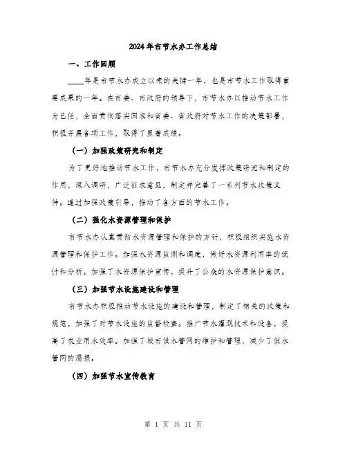 2024年市节水办工作总结(3篇)