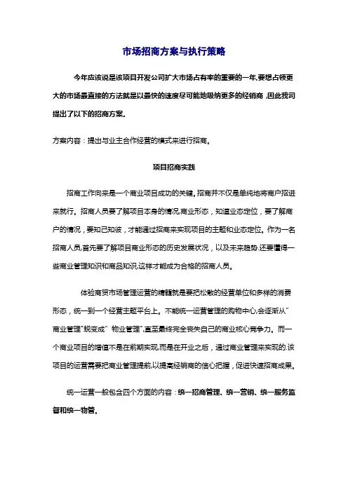 市场招商方案与执行策略