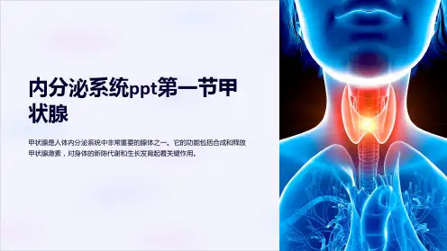 内分泌系统ppt第一节甲状腺