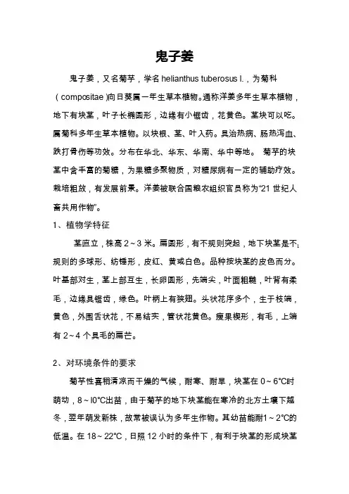 自然地理野菜鬼子姜