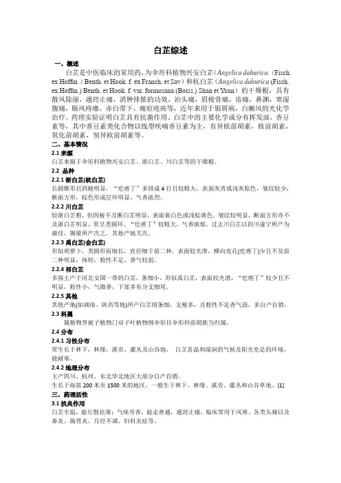 白芷综述