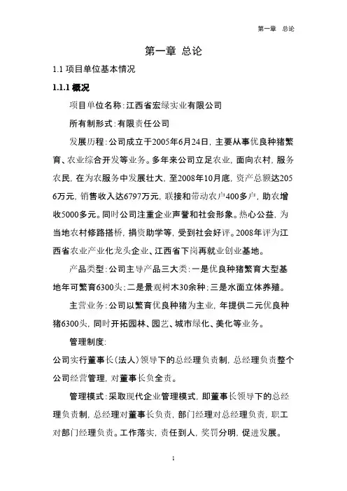 可行性研究报告