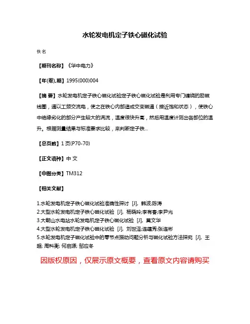 水轮发电机定子铁心磁化试验
