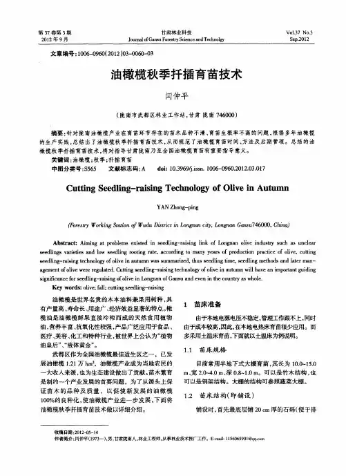 油橄榄秋季扦插育苗技术