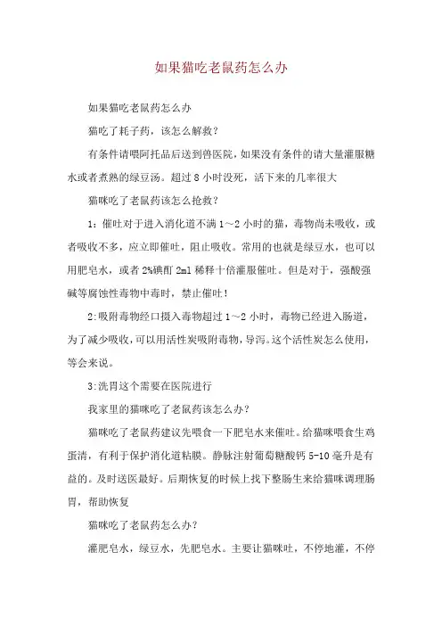 如果猫吃老鼠药怎么办