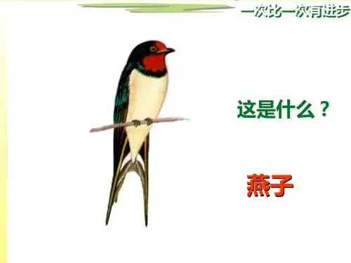 新人教版小学语文一级上册《一次比一次有进步》精品课件