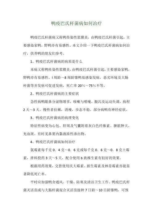 鸭疫巴氏杆菌病如何治疗