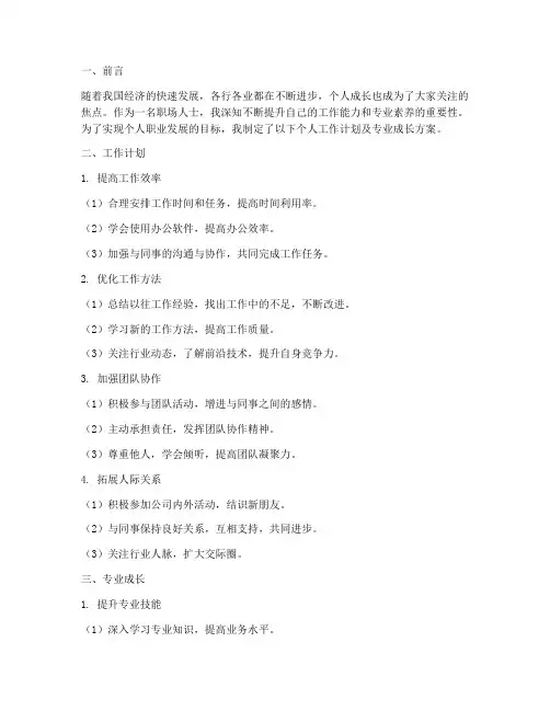 个人工作计划及专业成长
