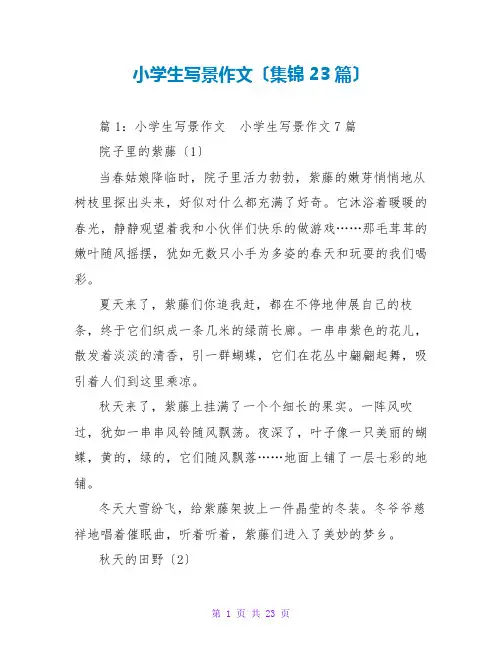 小学生写景作文(集锦23篇)