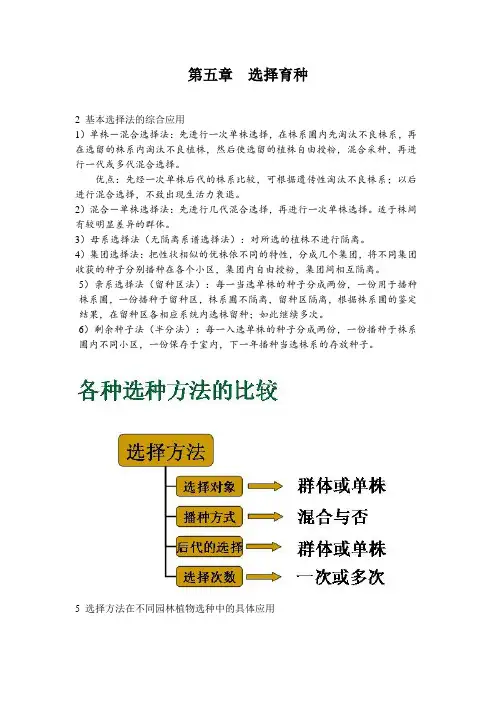 选择育种