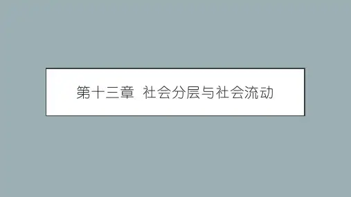 社会学概论新修第十三章