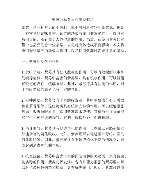 紫苏的功效与作用及禁忌