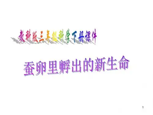 蚕卵里孵出的新生命ppt课件