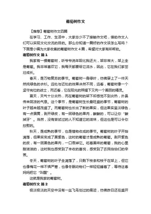 【推荐】葡萄树作文四篇