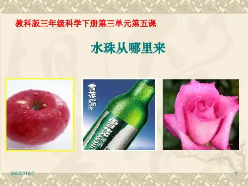 小学三年级下册科学《水珠从哪里来》温度和水的变化PPT精品课件