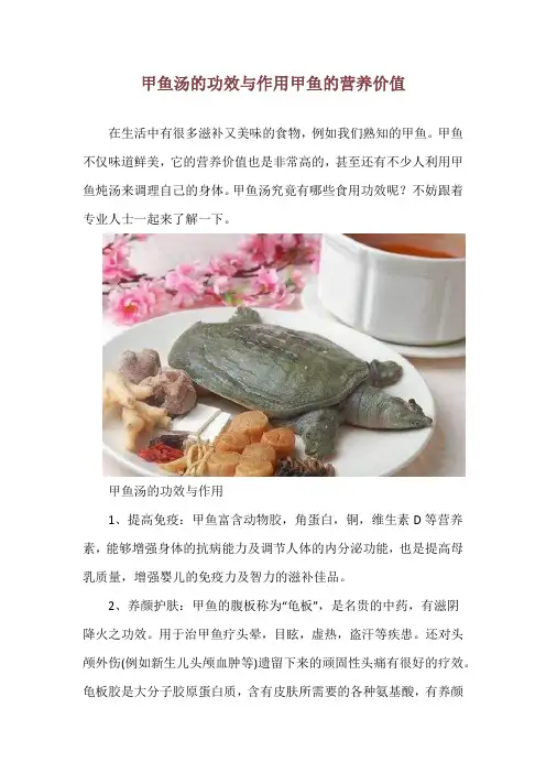 甲鱼汤的功效与作用 甲鱼的营养价值
