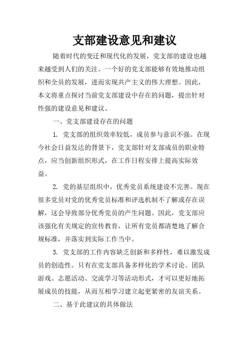 支部建设意见和建议