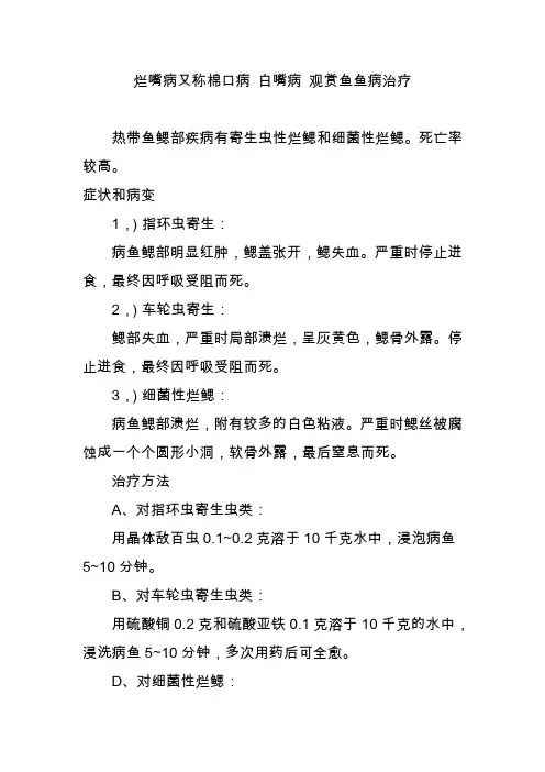 烂嘴病又称棉口病 白嘴病 观赏鱼鱼病治疗