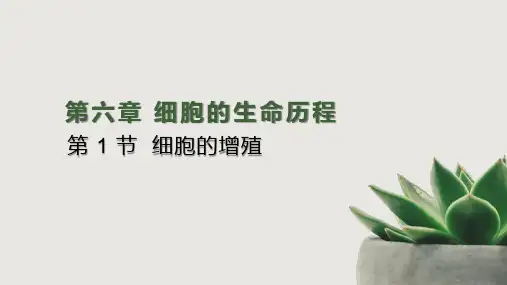 必修一 6.1 细胞的增殖(28张PPT)