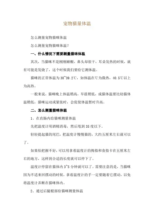 宠物猫量体温