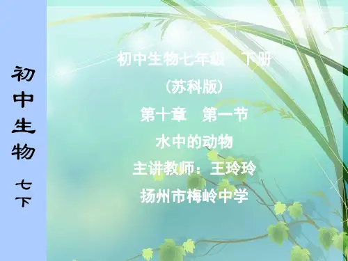 《初中生物》 PPT课件 图文