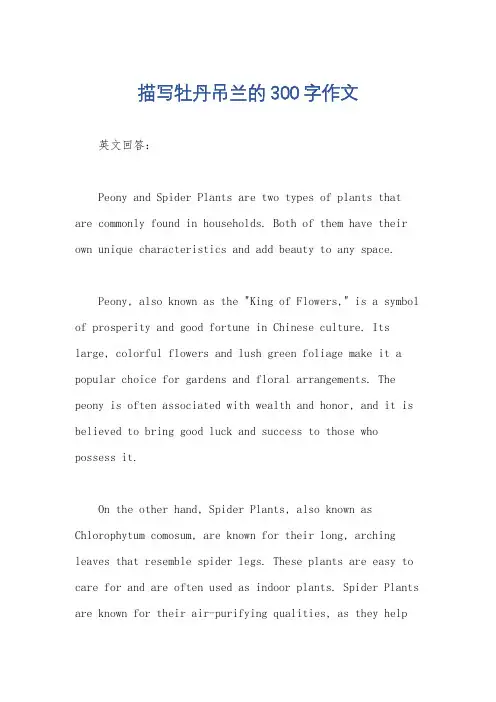 描写牡丹吊兰的300字作文