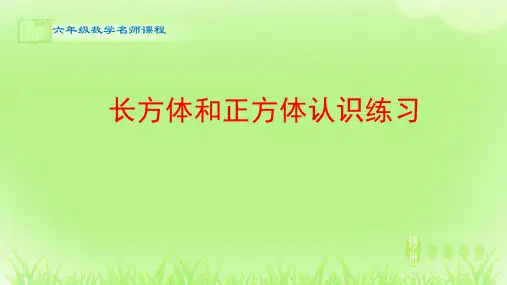 数学_长方体和正方体认识练习_课件