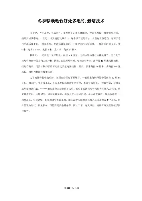 冬季移栽毛竹好处多毛竹,栽培技术