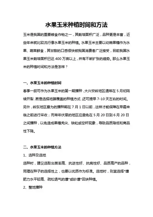 水果玉米种植时间和方法