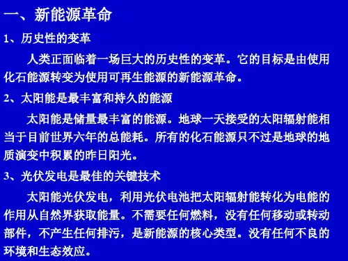 新能源发展论坛邀请报告